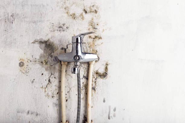 Best Mold Testing  in Columbia, CA