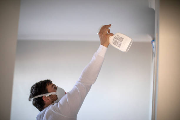 Professional Mold Removal in Columbia, CA