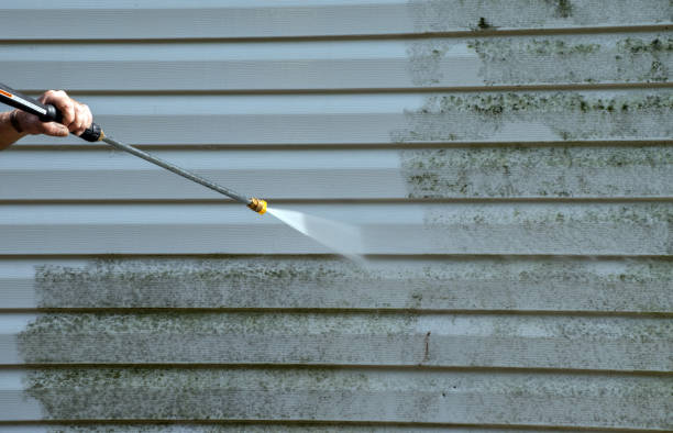 Best Affordable Mold Removal  in Columbia, CA