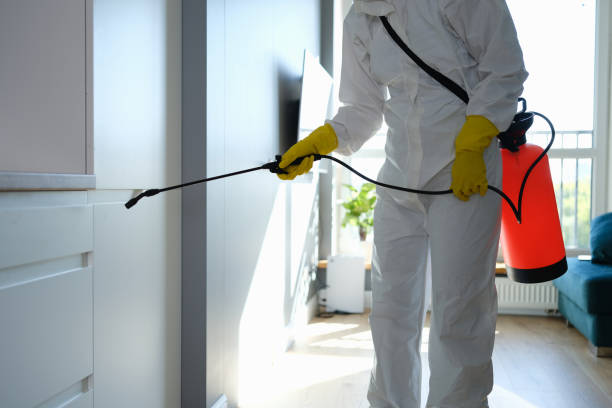 Best Best Mold Removal Companies  in Columbia, CA